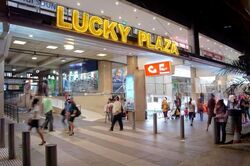 Lucky Plaza (D9), Shop House #618750631